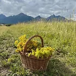 Slnecnica 3* Nová Lesná