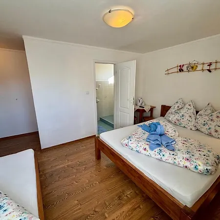 Slnecnica Nová Lesná