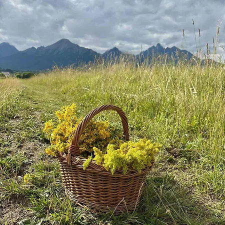 Slnecnica 3* Nová Lesná