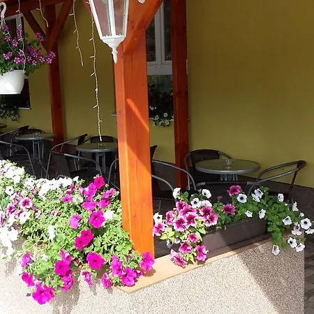 Slnecnica Nová Lesná