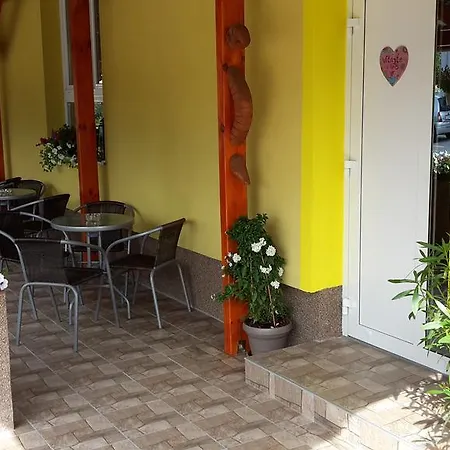 Slnecnica Nová Lesná