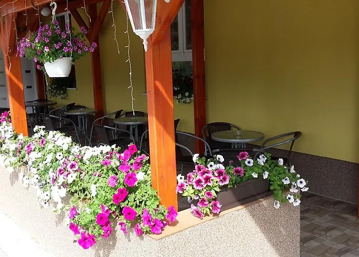 Slnecnica Nová Lesná