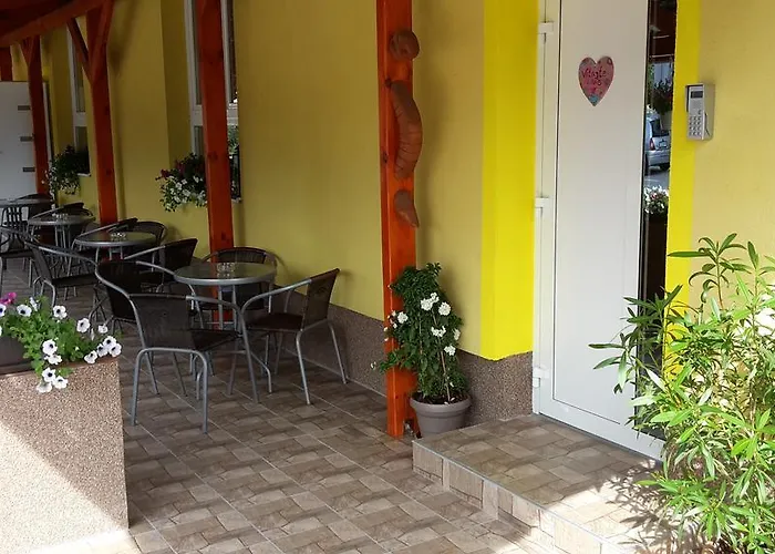 Slnecnica Nová Lesná
